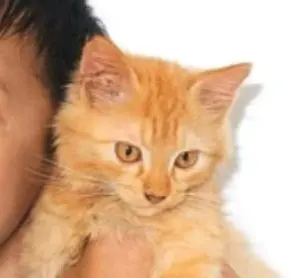 檄レア・サウンドトラック盤☆Chris Schlarb/Dropsy - メルカリ