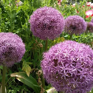 俳優 竹財輝之助 直筆サイン入りフォトブック＆カレンダー