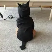 CoCo☆セールㄘゅう