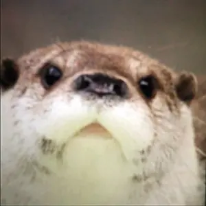 MTG PO2 ポータルセカンドエイジ 日本語 355枚 JP】《ポータル・セカンドエイジ 2人用スターターデッキ 日本語