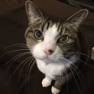 新品】安室奈美恵 uncontrolled Tシャツ - メルカリ