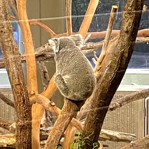 メズコ 廃盤 RUN DMC フィギュア 3体セット 稀少ミリタリーver未開封