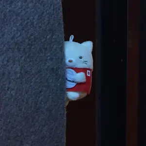 サンフレッチェ広島 森崎浩司選手 サイン - メルカリ