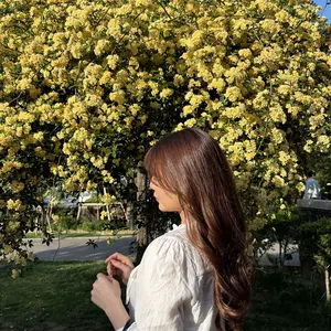 新品・未開封 ((非売品)) 乃木恋 第41期 彼氏イベント特典 久保史緒里 新品・未開封 ((非売品)) 乃木恋 第41期 彼氏イベント特典 久保史緒