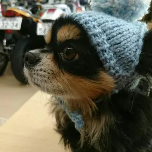 営業時間：11～17時　定休日 ：日曜日