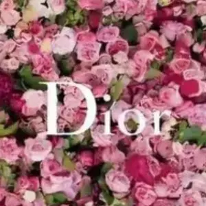 ⚠️3月3日〜‼️入院の為お取引中止‼️