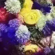 SEVENTEEN THE8 ミンハオ ヘンガレ ヨントン トレカ② - メルカリ