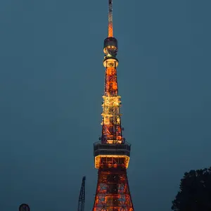 ゴ*ー様 シャッター音なし海外版 Apple iPhone 16 Pro 256 - メルカリ