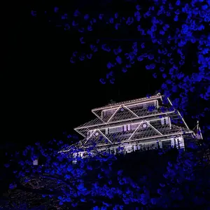 せ様専用 Jan Ray クローン + TS系 2in1 ハンドメイド - メルカリ