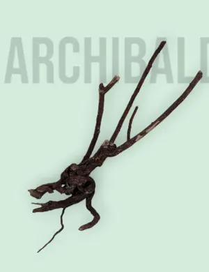 た*け様 Rawlings RGS117DP-ROR レッドグローブ - メルカリ