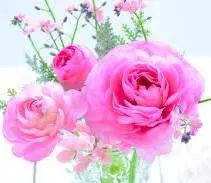 新品箱入11点セット コレール モーニングブルー - メルカリ