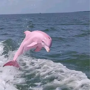 2025年6月1日 クロワ・デュ・ノール 馬券 - メルカリ