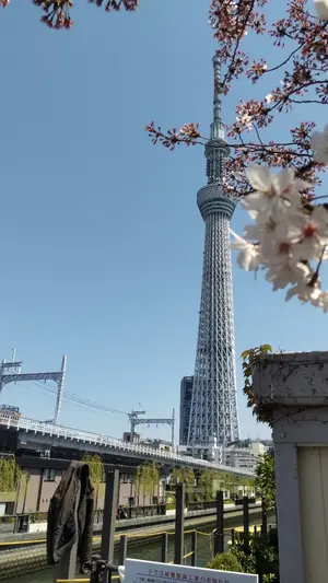 ひでHALLO