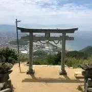 ハリスホーク☀︎フォロワー様１０％Ｏｆｆ