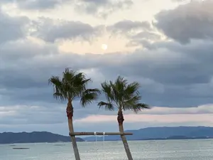 フィン付き) マーメイドエッジ 5.8 モーリスコール ショートボード