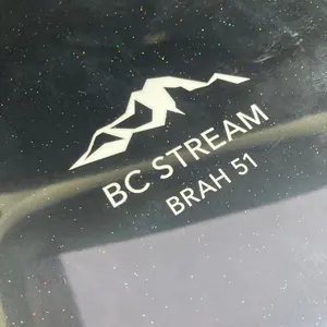 limpbizkit ウェス・ボーランドZargon Reverb日本未発売品