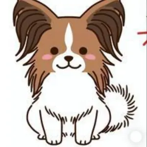 ローゼンメイデン トレーディングカード レアイラスト プロモ 合計114