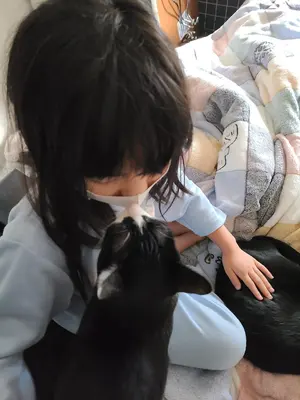 風の谷のナウシカ 色違い 青 テト ぬいぐるみ アニメージュとジブリ展 