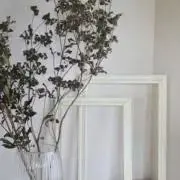 SHIRA⭐︎まとめ買い割あり