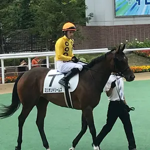 さざなみドラム（小型）スティック付き - メルカリ