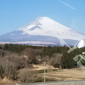 訪問着 金銀彩加工 正絹 裄70 着物 黄ベージュ　つづみ 笛 南天 萩 楓 訪問着 金銀彩加工 正絹 裄70 着物 黄ベージュ つづみ 笛 南天 萩 楓