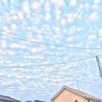 EFFLORESCENCE エフロレッセンス アンブレラ 傘 - メルカリ