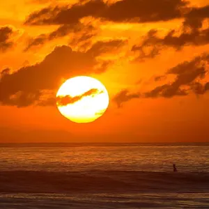 ウィザードサーフボード 9.1フィート EPS - メルカリ