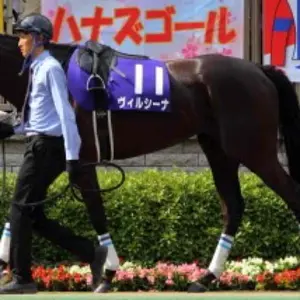 トレーディングカード Jリーグチップス 山口素弘 横浜フリューゲルス