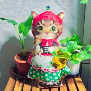 一期一会 ˃̵ᴗ˂̵