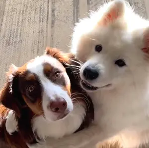 169cm woman 【春服＆バック】