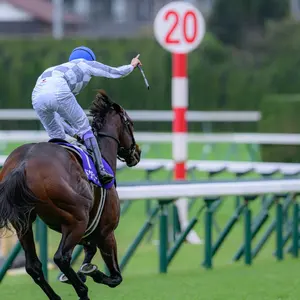 ドウデュース 有馬記念 ミニゼッケン - メルカリ