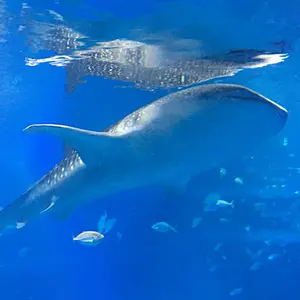 価格相談可☆みぃ☆プロフ必読！