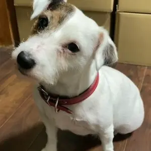 Gabby