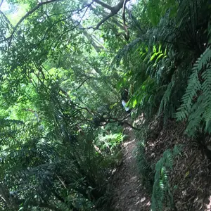 値下げ不可 オイルメンテ11／24済 RATS レザーグローブ バイクグローブ