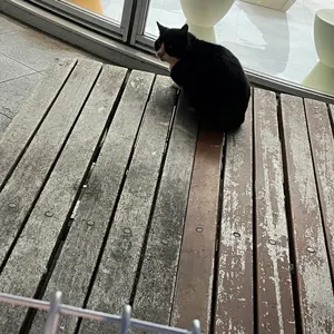 怪談 選 斎賀みつき ブロマイド Story Teller 佐藤拓也 新垣樽助 出演メッセージ】佐藤拓也：Story Teller（Terror）「朗読・怪談