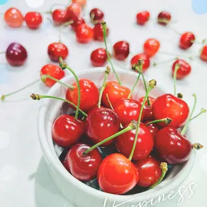 断捨離中］ ユキ プロフ必須様専用ページ - メルカリ