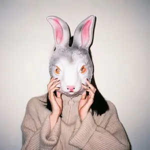 永野芽郁 武道館イベント 非公開 トートバッグ - メルカリ