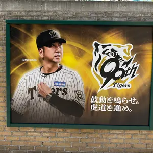 阪神タイガース 直筆サインボール 18個セット 森下翔太、才木浩人、近
