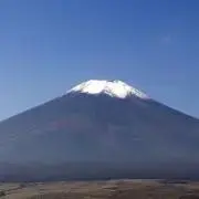 ヴァイス 