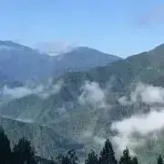 徳島県神山町産すだち《冷蔵貯蔵》20キロ キズ・色ムラあり 黄 徳島県神山町産すだち《冷蔵貯蔵》20キロ キズ・色ムラあり 黄