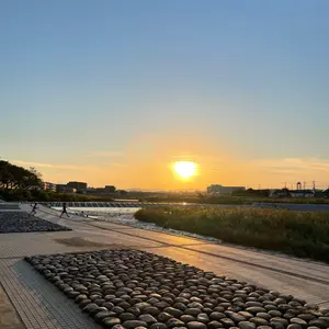 さきさん、ぺぺさん専用】日本代表 2018W杯 ユニフォーム 長谷部誠 L