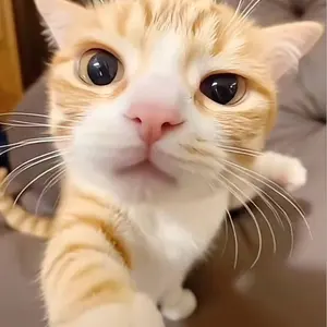 大阪コミコン ファンタスティックビースト くじ ラストワン ピケット