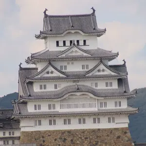 水曜日は発送ができません。