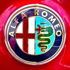 オレンジマン様ステムポーチオーダーページ - メルカリ