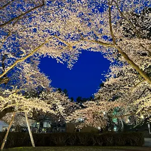 【まとめ割引】ずとまよカード　第一弾　UR　7/8枚　ほぼコンプリートセット まとめ割引】ずとまよカード 第一弾 UR 7/8枚 ほぼコンプリート