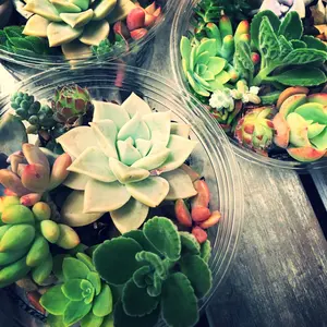 ＊KKK＊プロフィール確認お願いします！