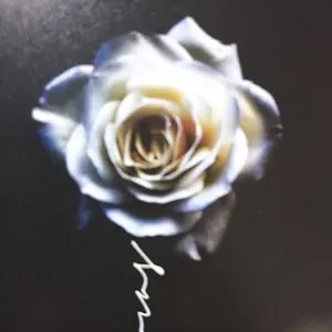 専用 Janne Da Arc DEADorALIVE 5分袖Tシャツ - メルカリ