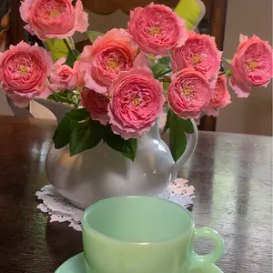 明治末期〜大正初期 プレスガラス かなりの美品です。 - メルカリ