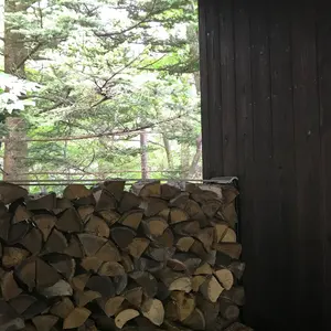 村上隆 もののけ京都 五山送り火フィギュア 右大文字さま アート作品
