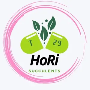 アガベ パリー 四国弁財天 ※子株の出店です。 - メルカリ